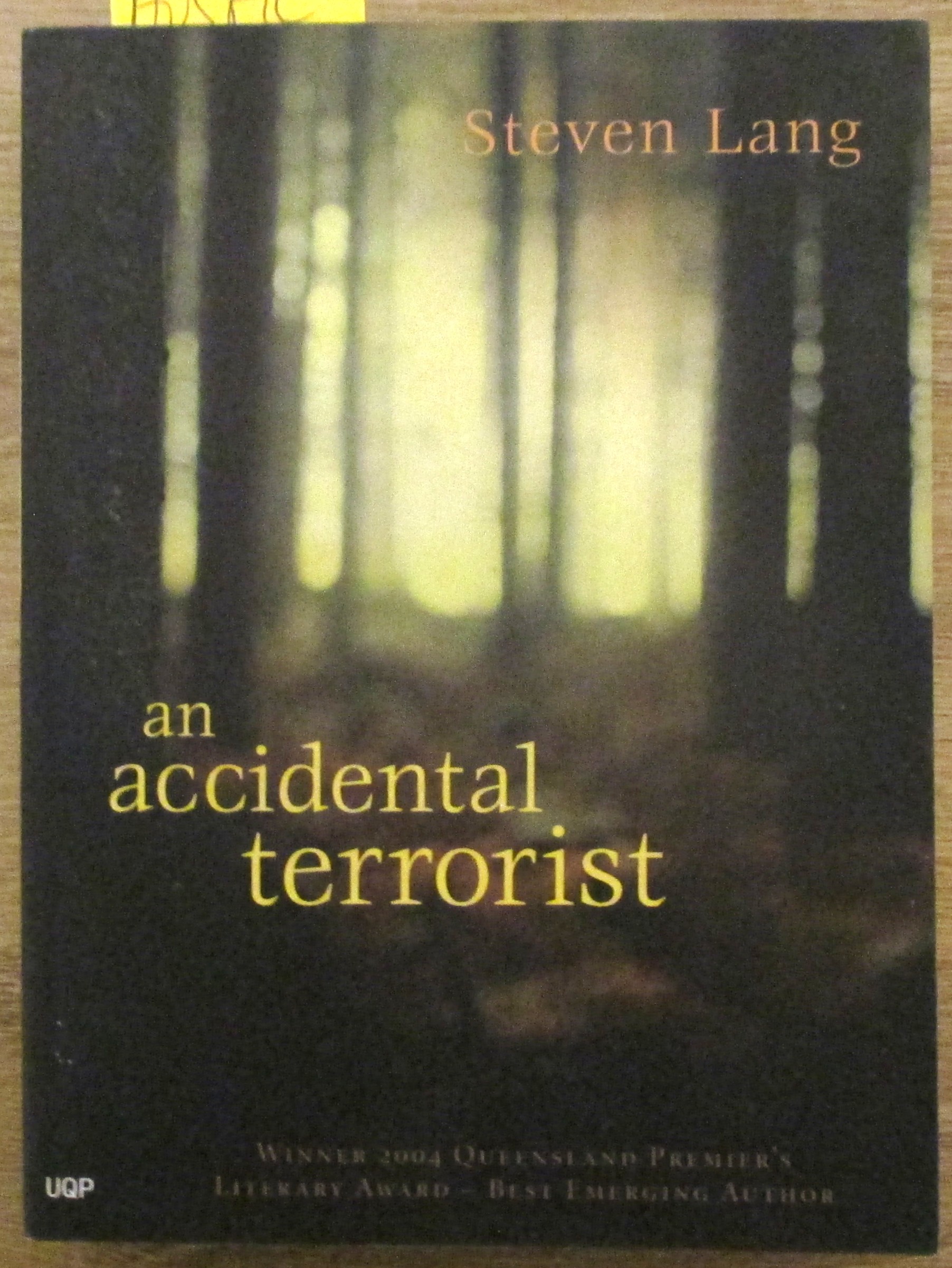 Accidental Tourist, An