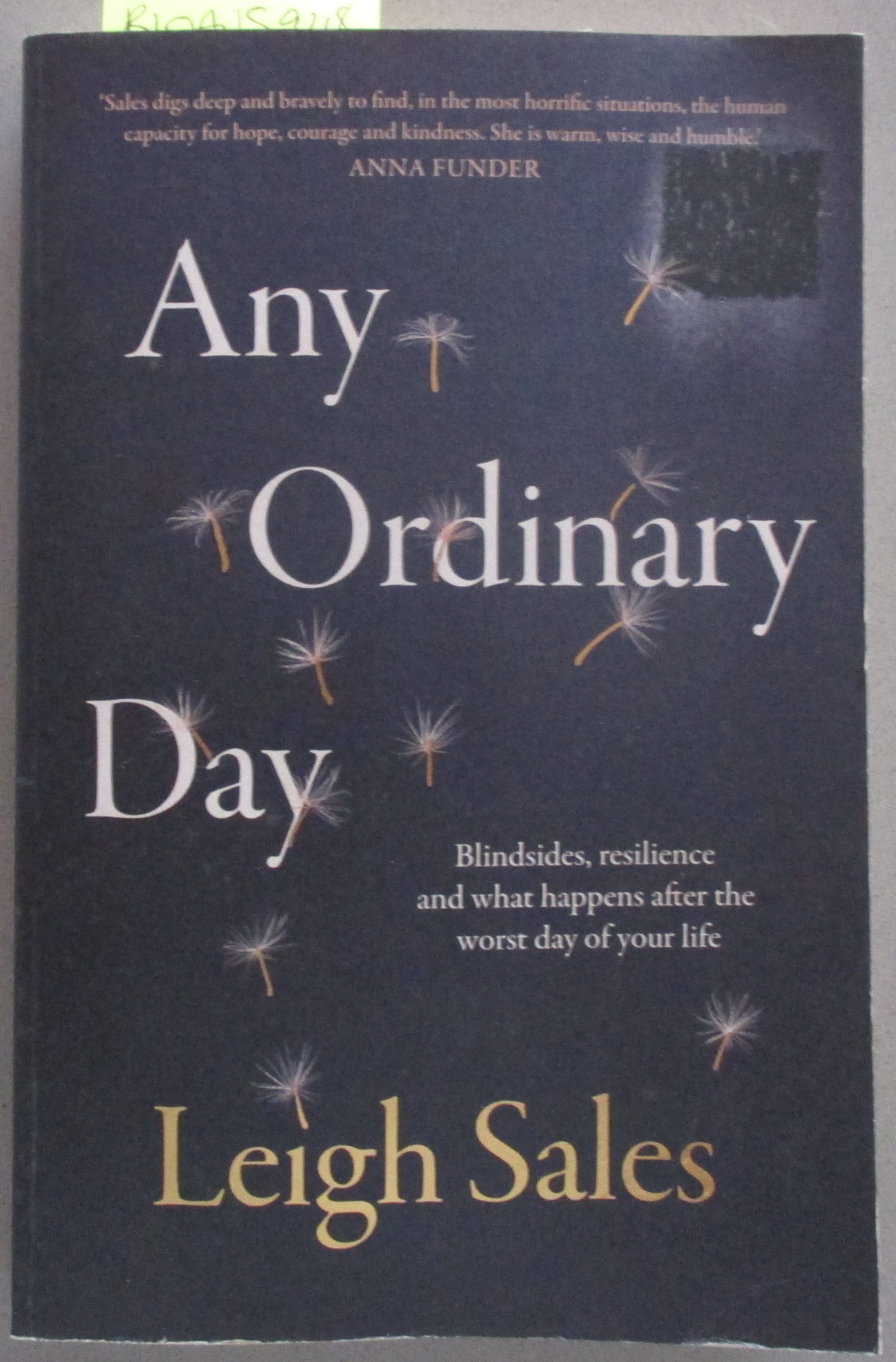 Any Ordinary Day: Blindsides, Resilience and What Happens After the Worst Day of Your Life
