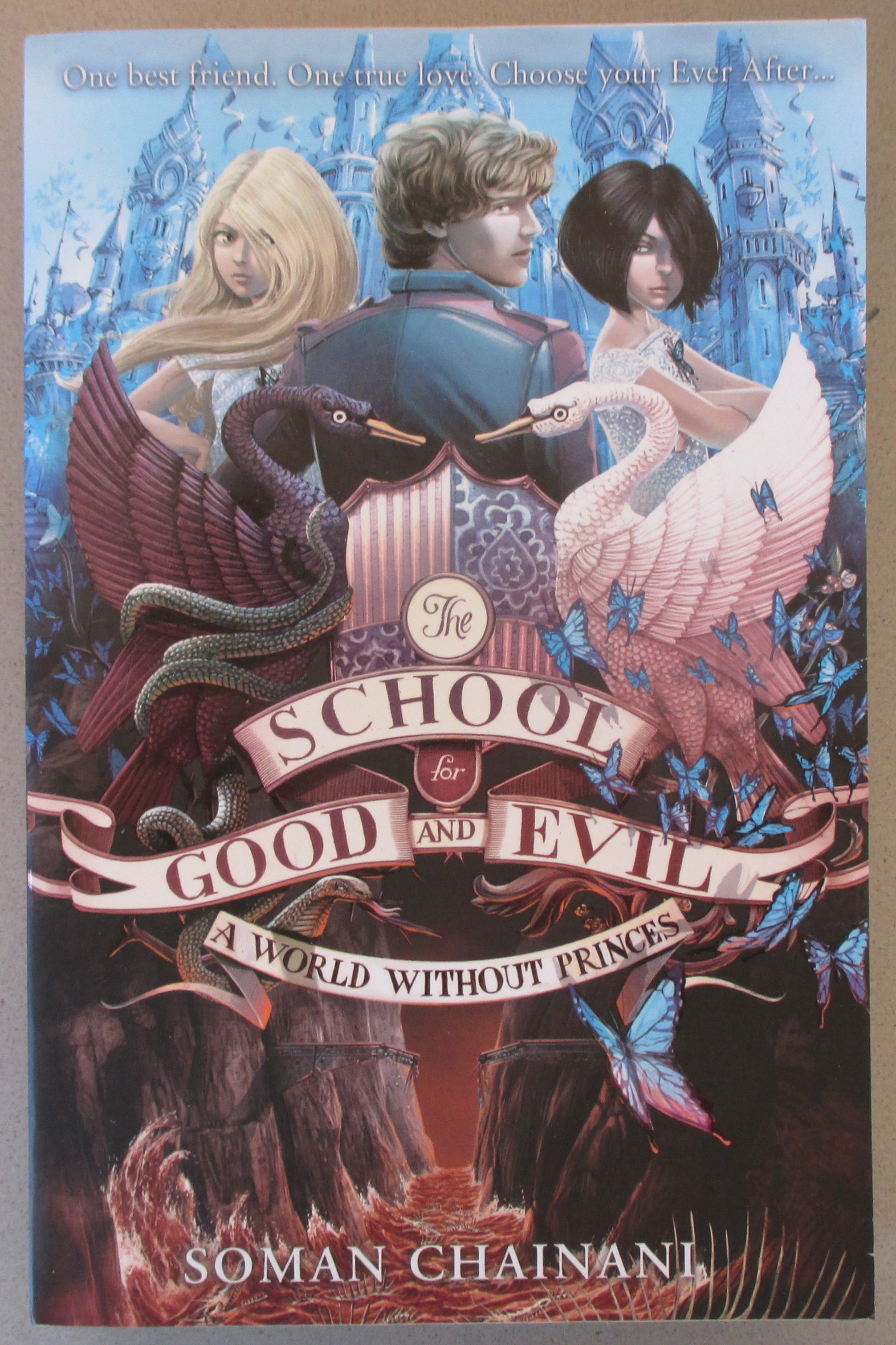 World Without Princes, A: The School for Good and Evil #2