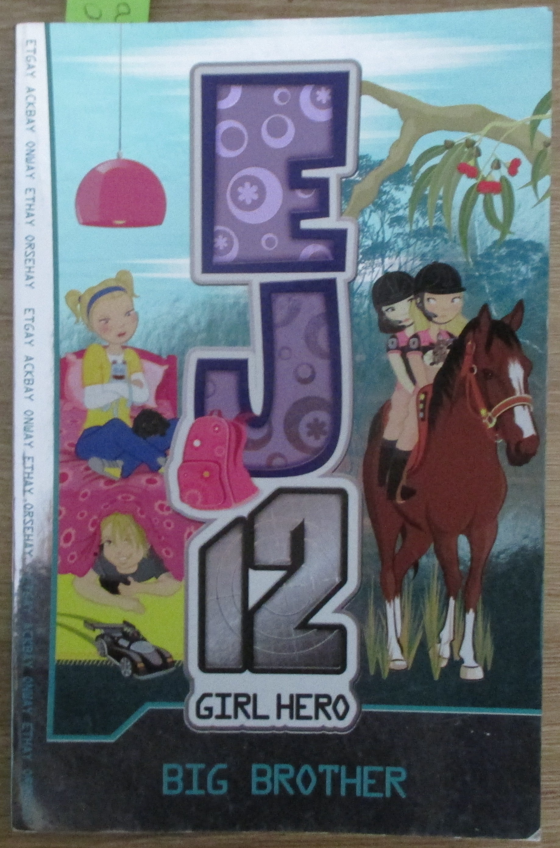 Big Brother: EJ12 Girl Hero #15