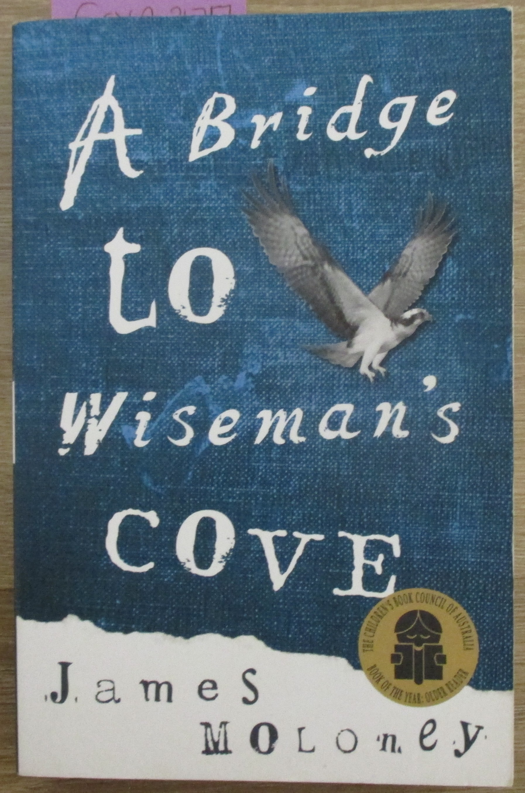 Bridge to Wiseman's Cove, A
