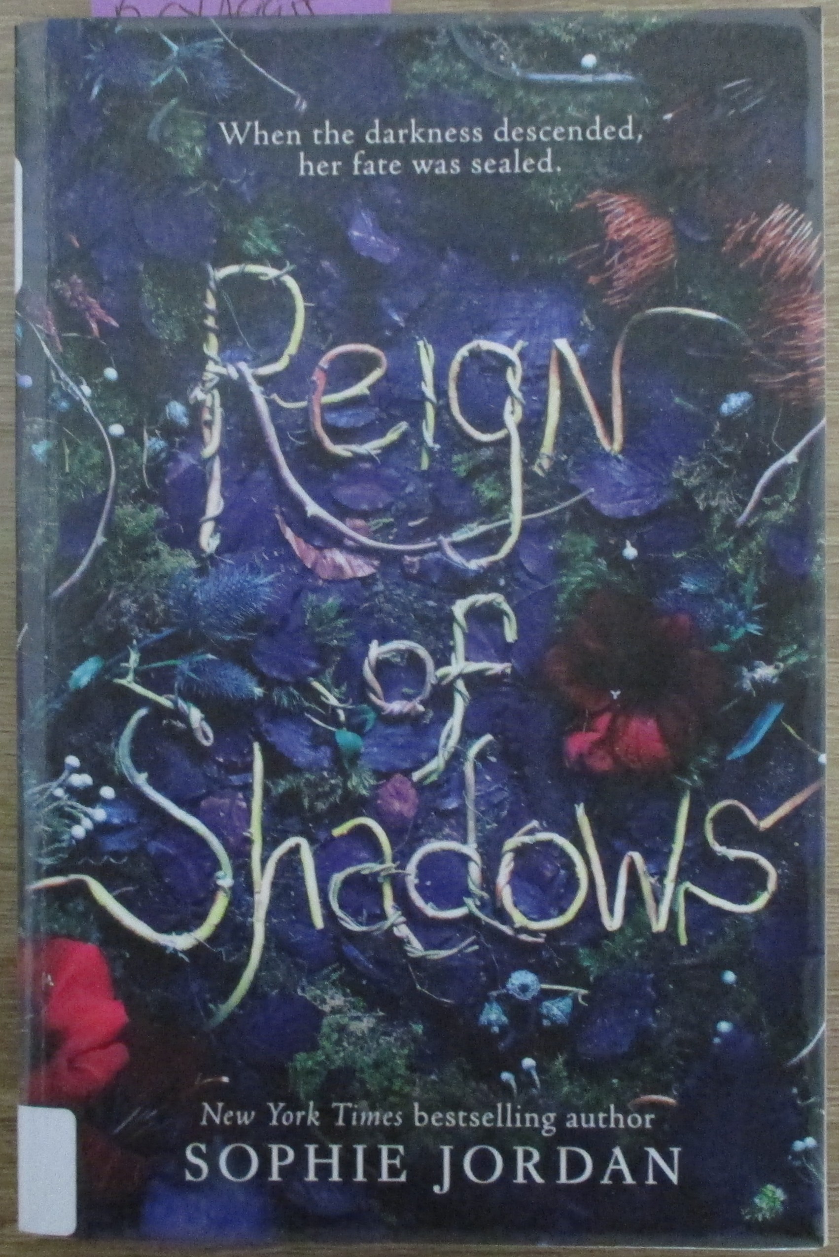 Reign of Shadows: Reign of Shadows #1