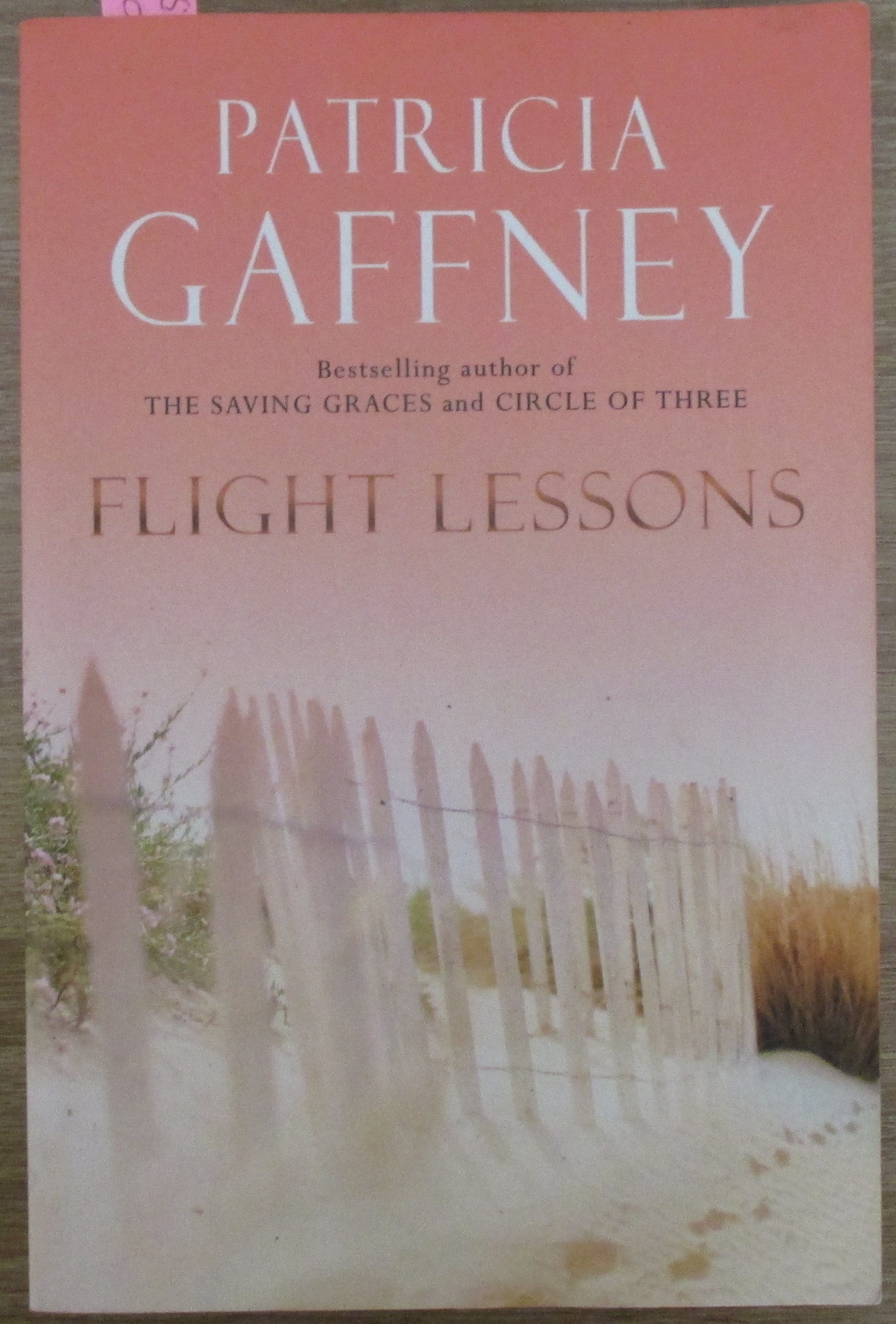 Flight Lessons