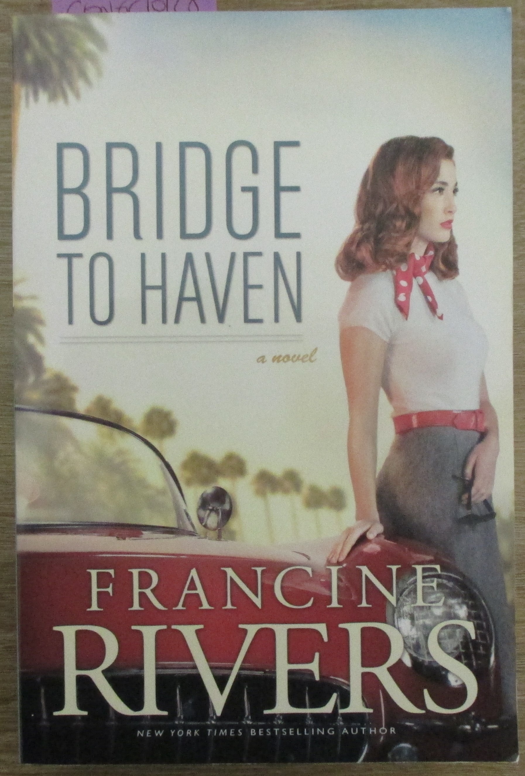 Bridge to Haven: A Novel