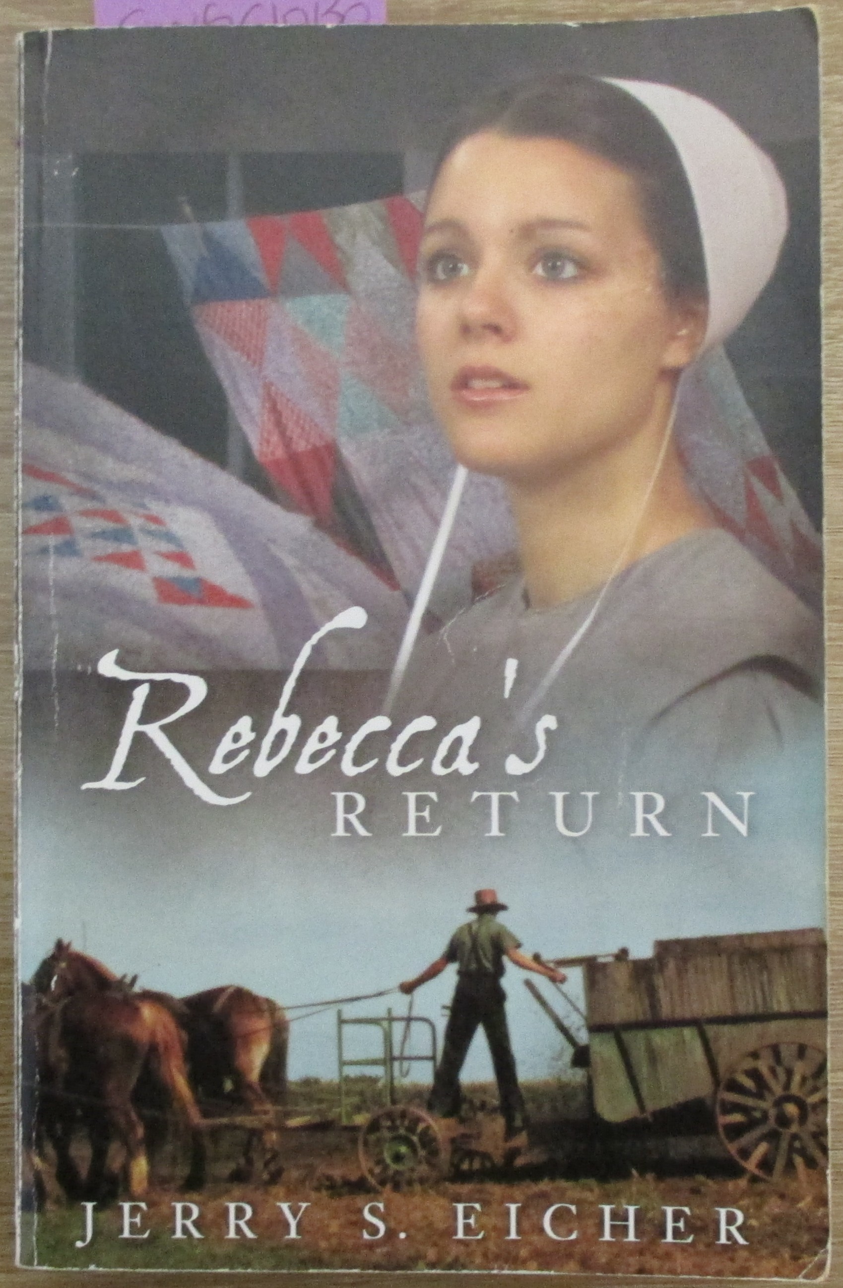 Rebecca's Return: The Adams County Trilogy #2