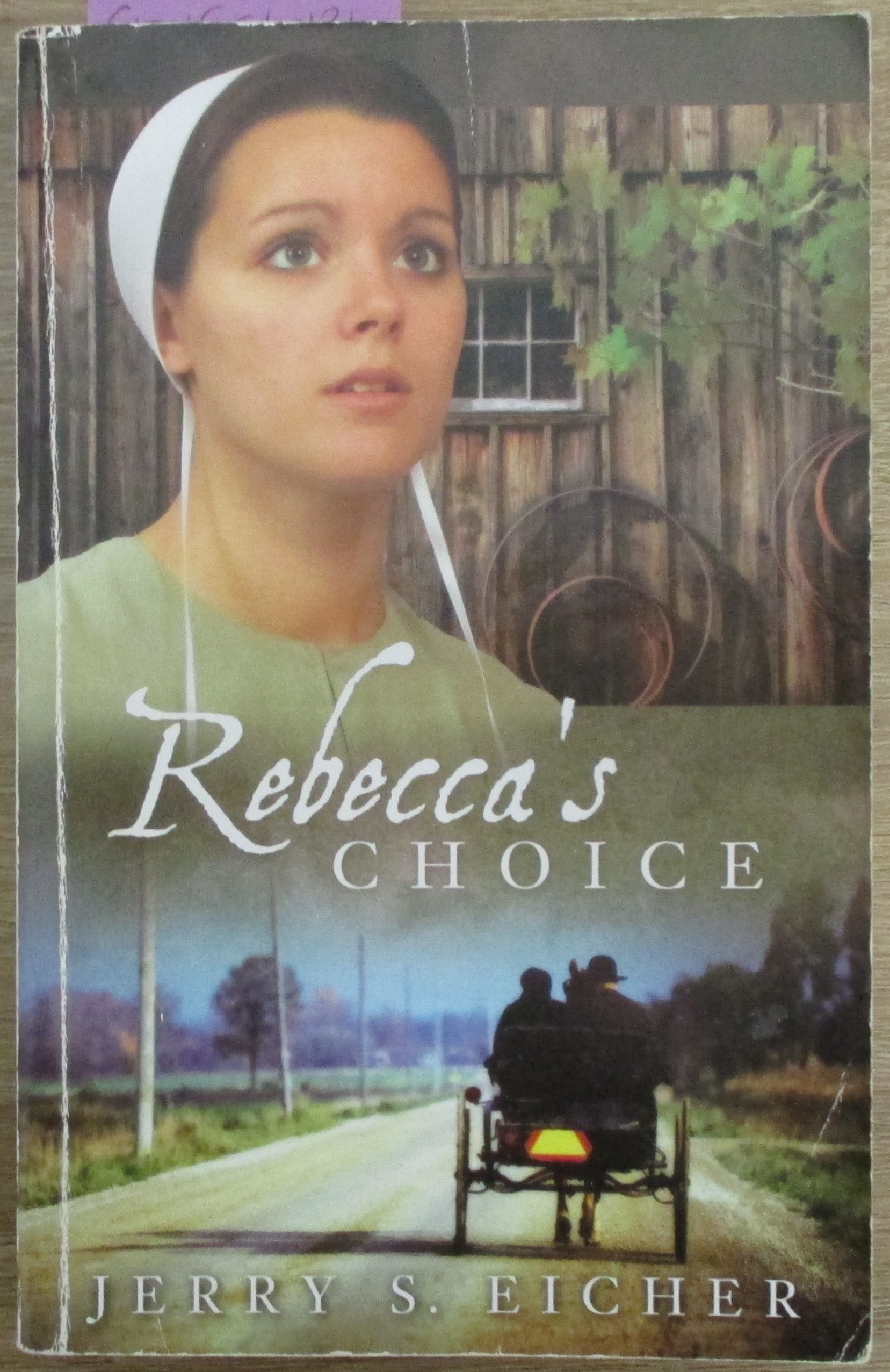 Rebecca's Choice: The Adams County Trilogy #3