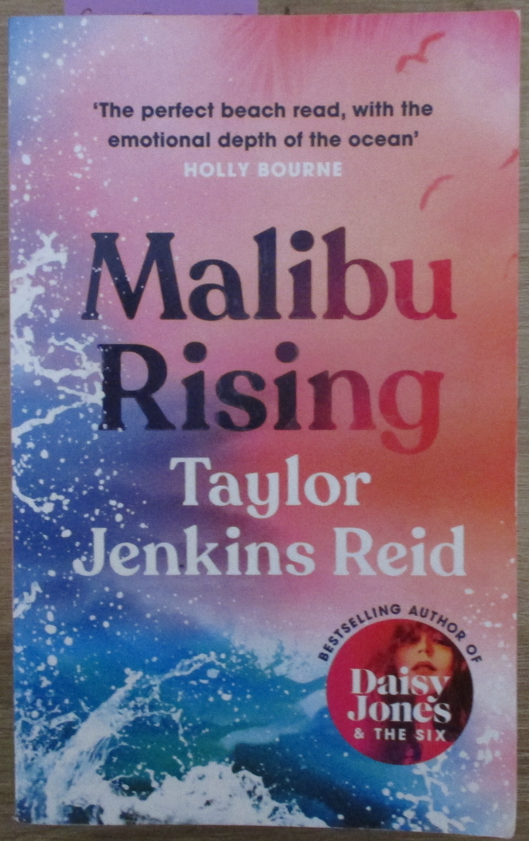 Malibu Rising