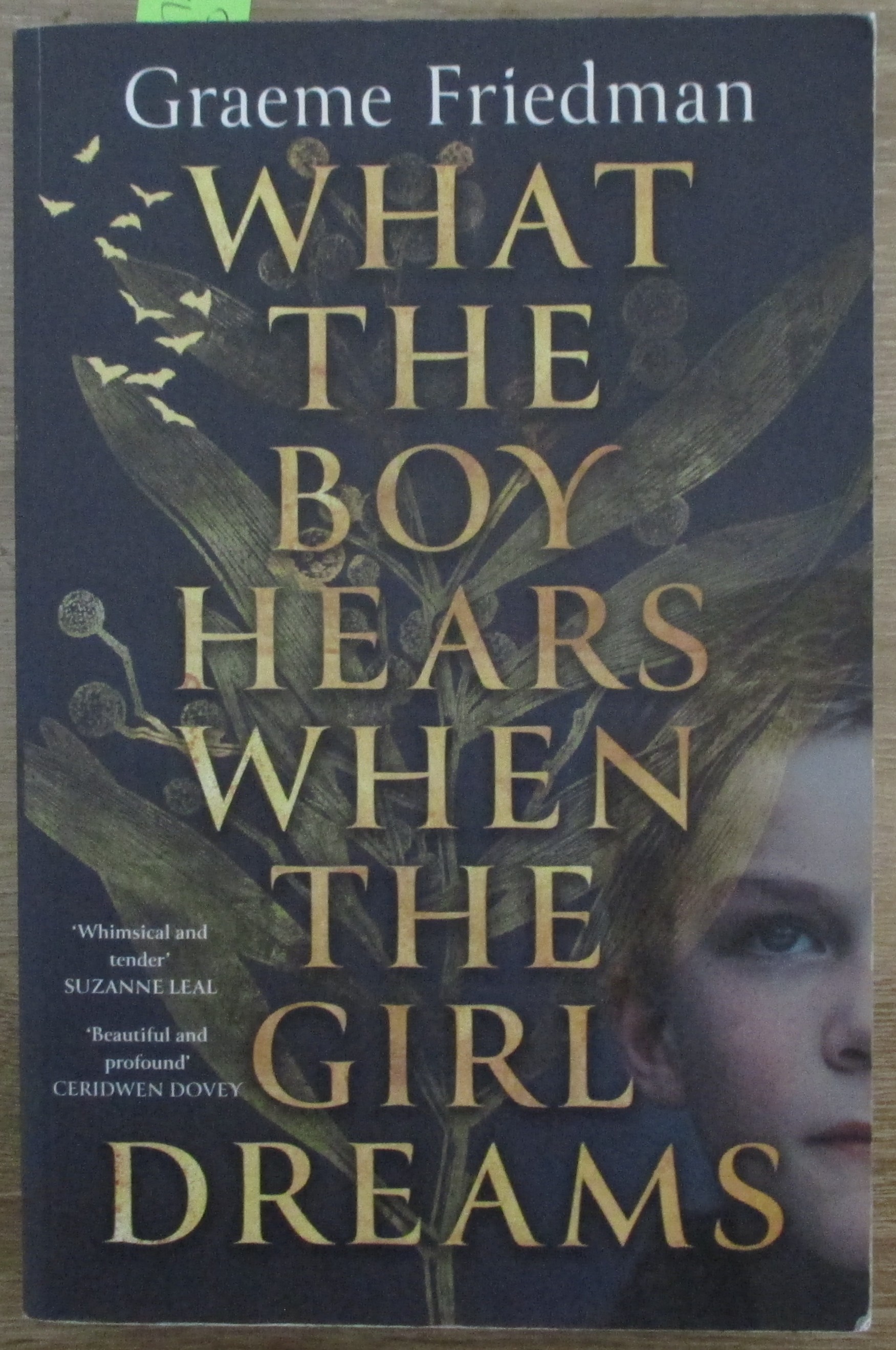 What the Boy Hears When the Girl Dreams