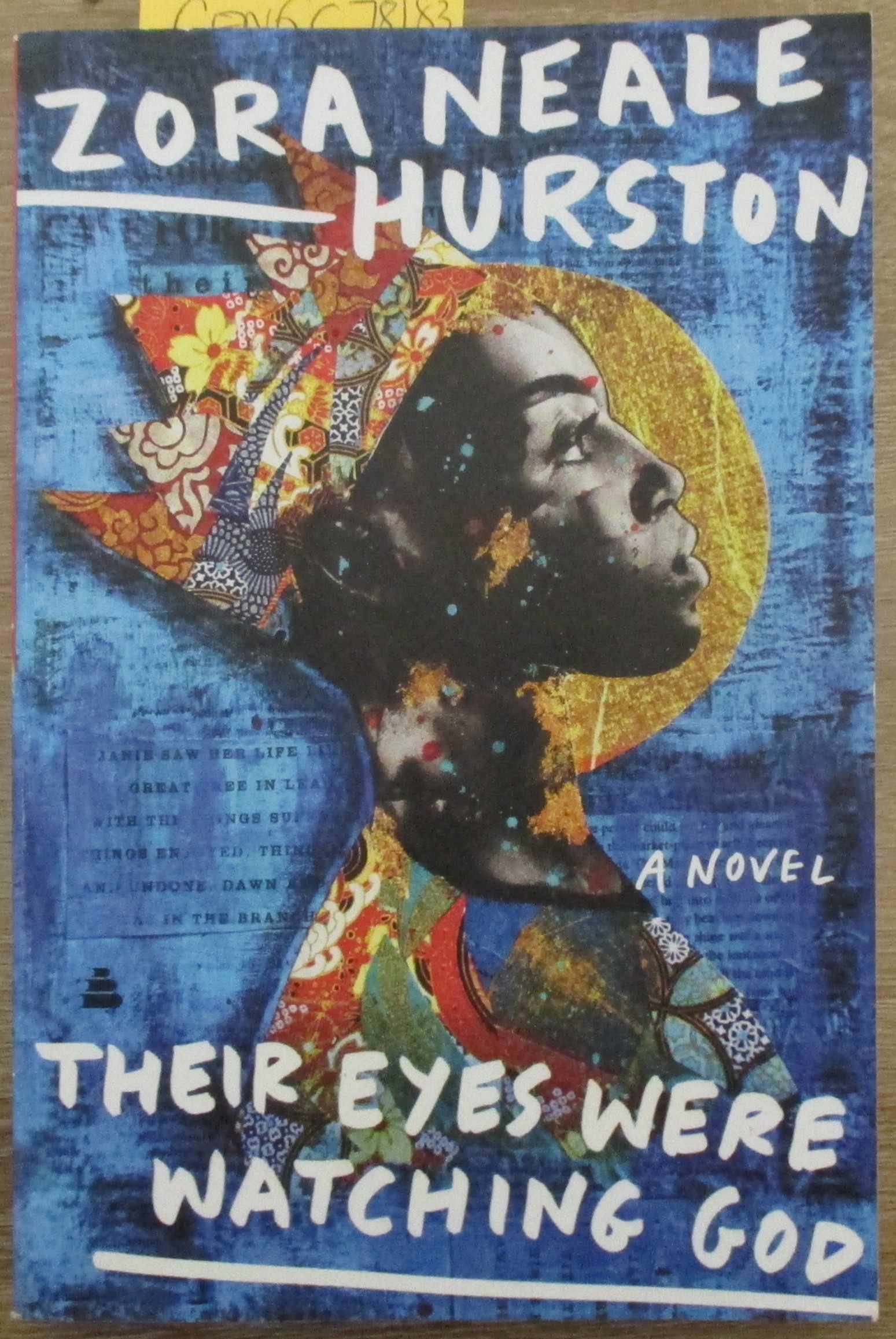 Their Eyes Were Watching God: A Novel
