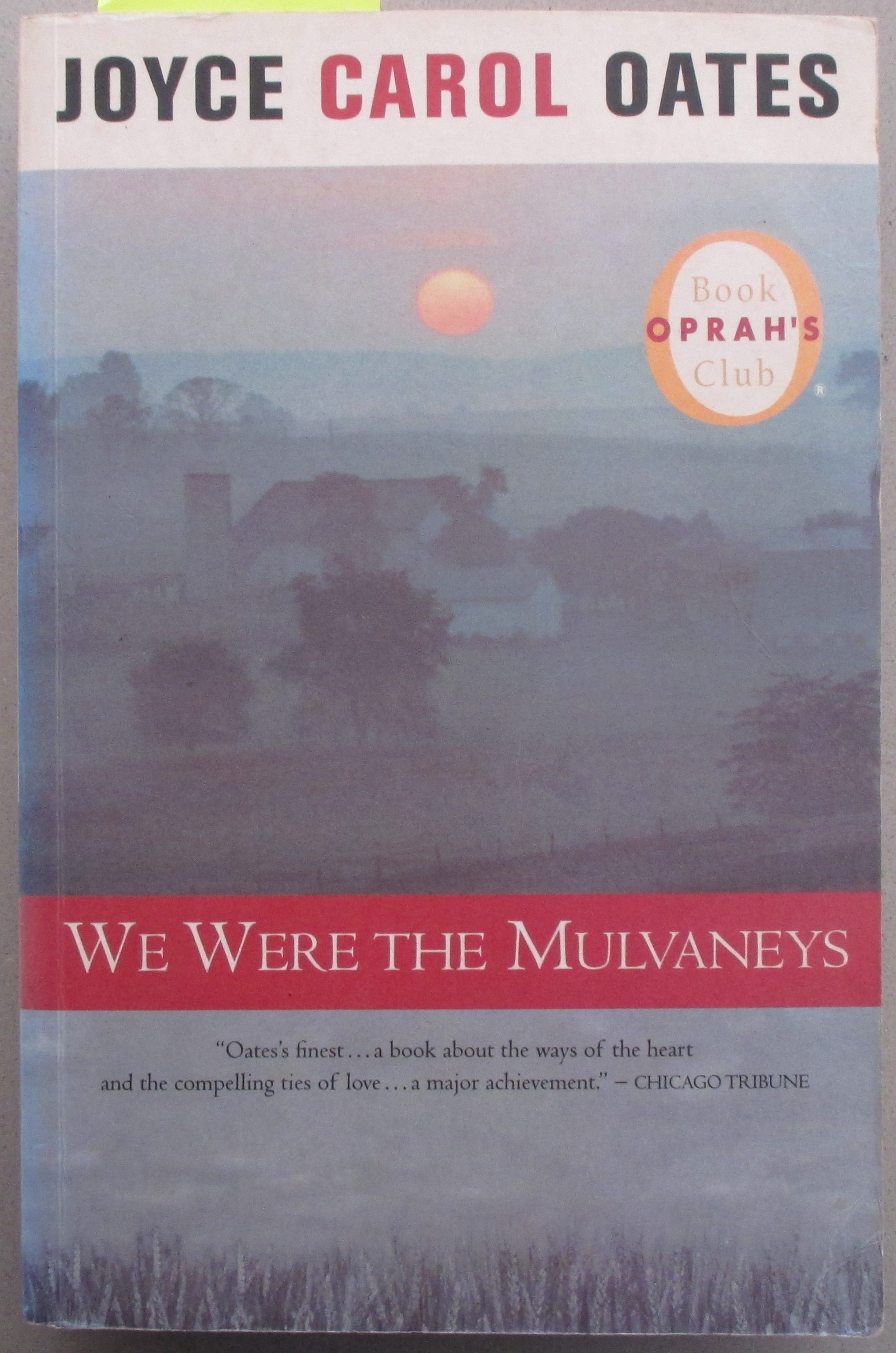 We Were the Mulvaneys