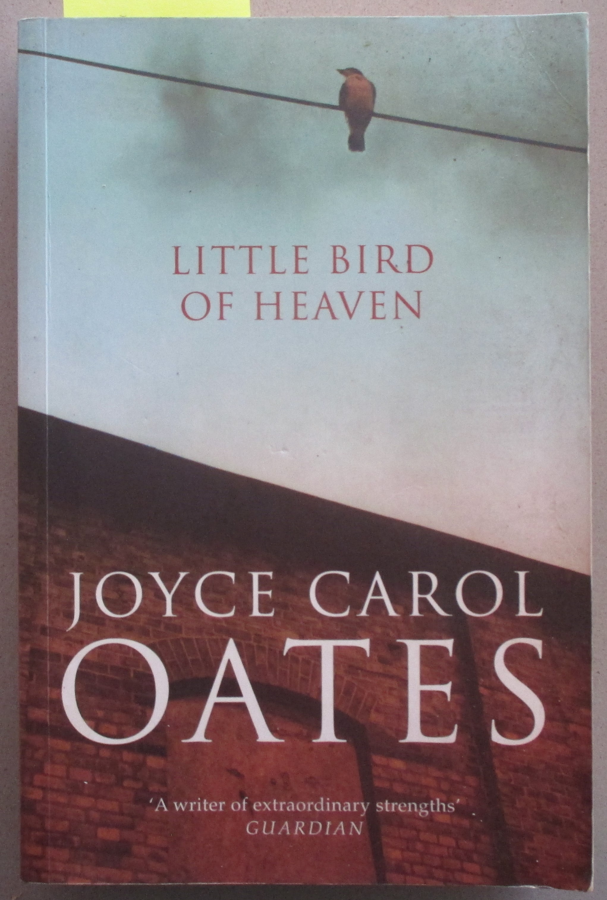 Little Bird of Heaven