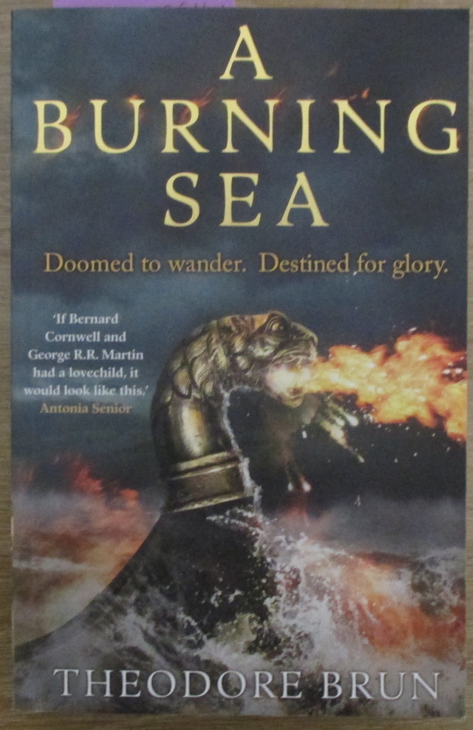 Burning Sea, A: The Wanderer Chronicles #3