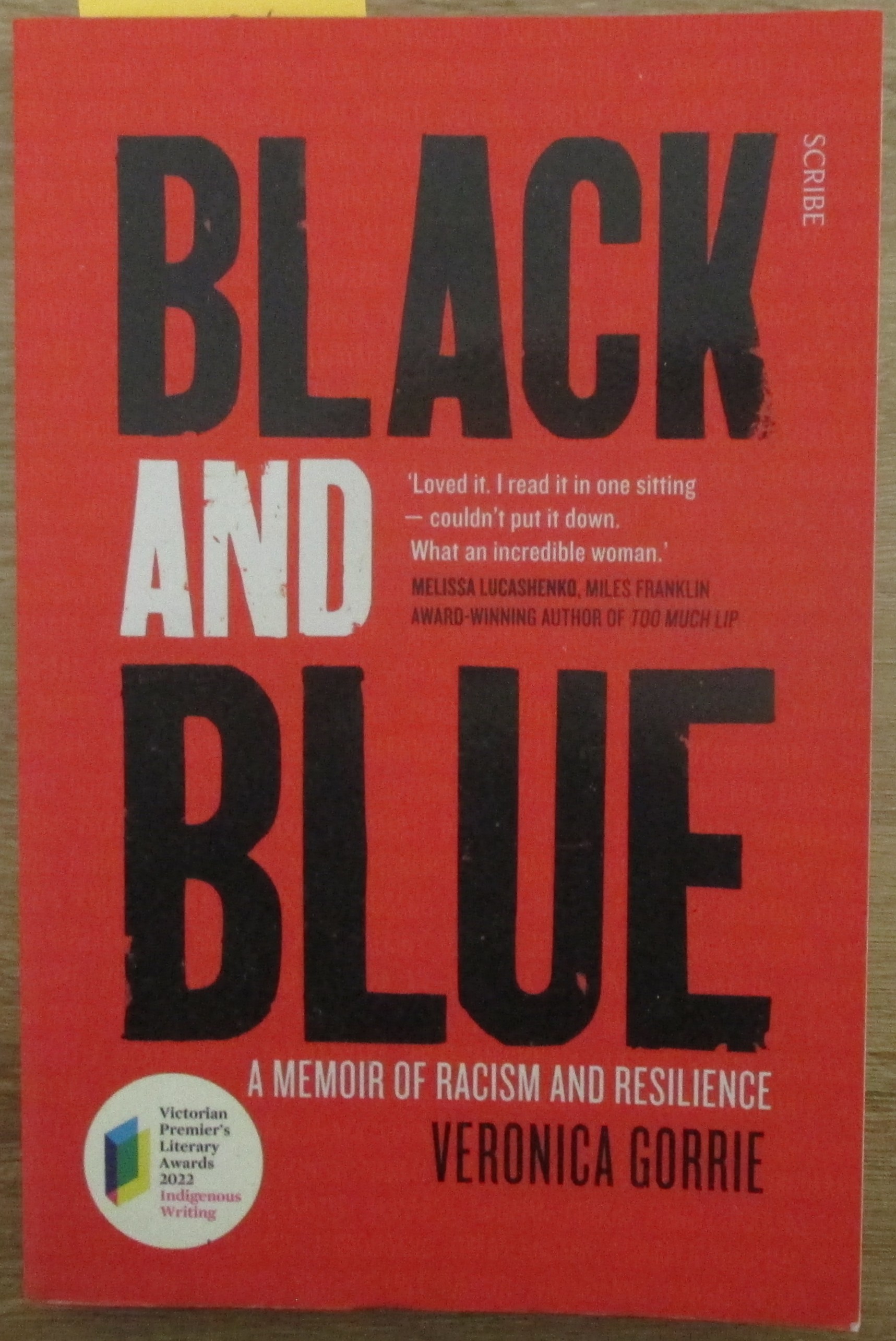 Black and Blue: A Memoir of Racism and Resilience