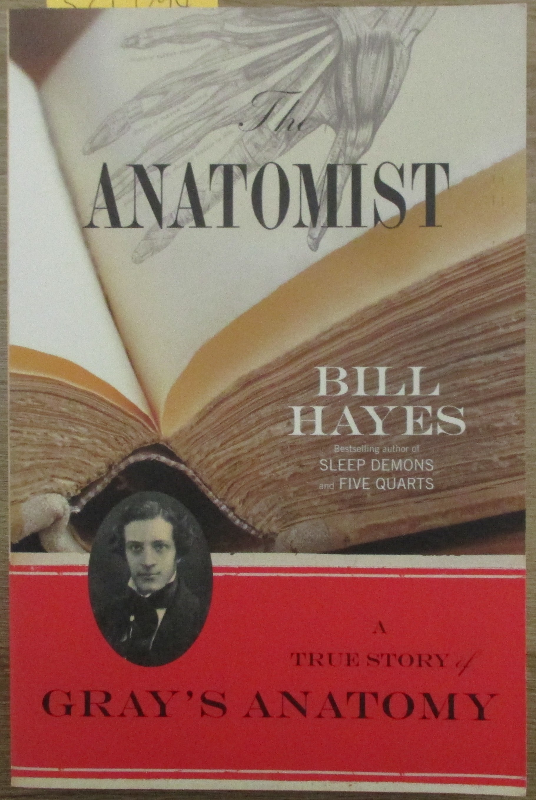 Anatomist, The: A True Story of Gray's Anatomy
