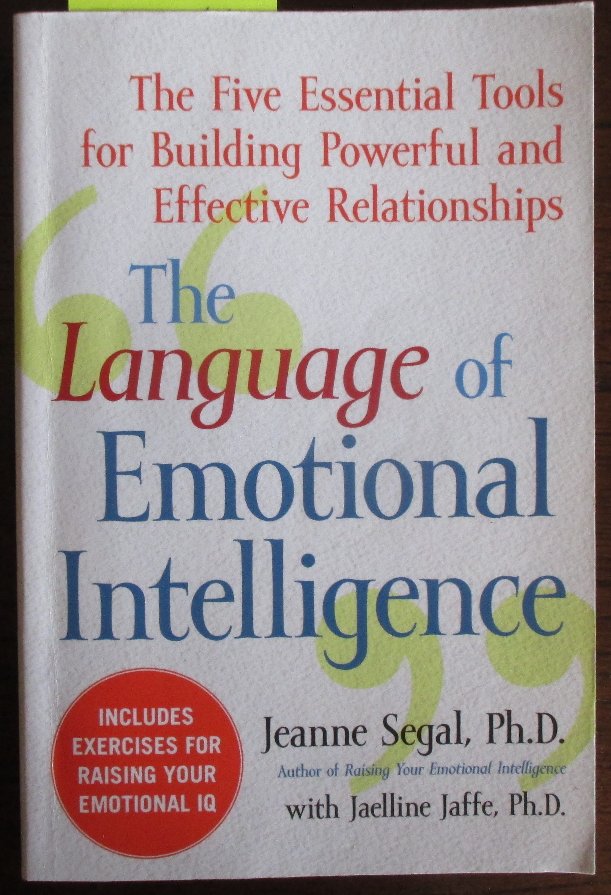 Language of Emotional Intelligence, The: The Five Essential Tools for Building Powerful and Effective Relationships